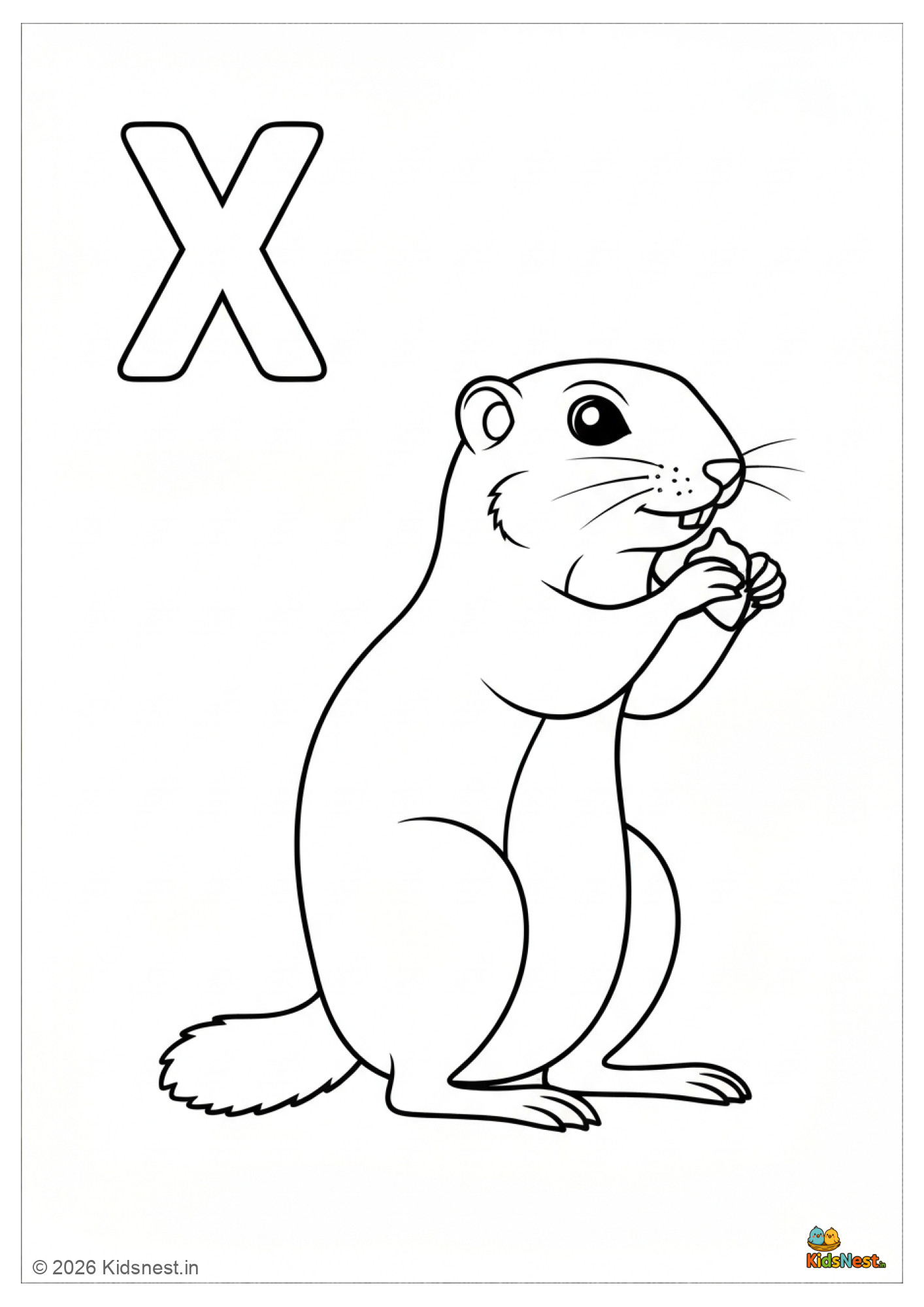X for Xerus Coloring Page | Free Printable Worksheet for Kids