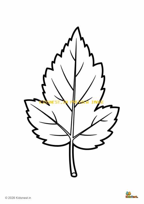 Yellow Buckley Leaf Coloring Page for Kids | Printable PDF