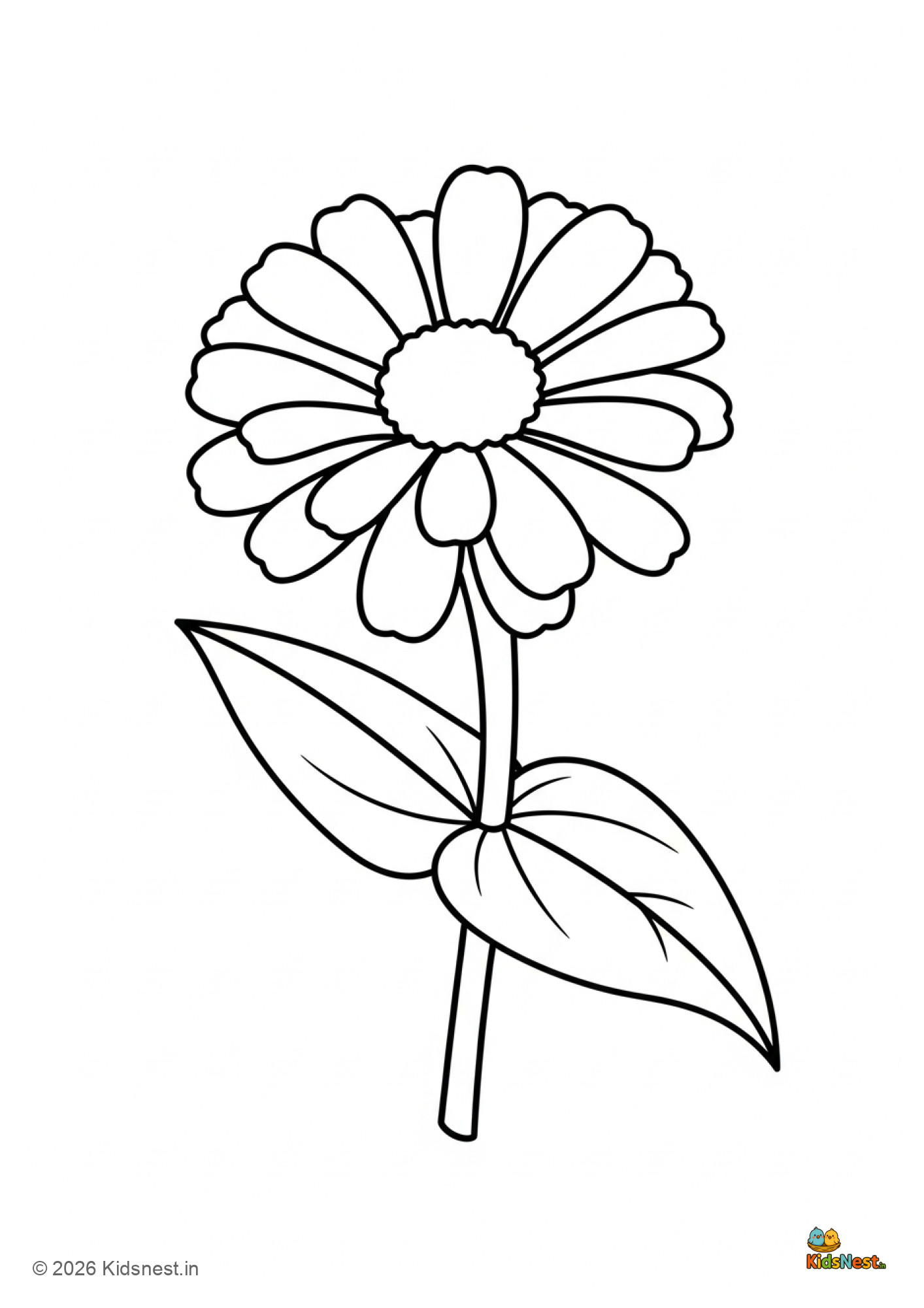 Zinnia Flower Coloring Page for Kids | Free Printable PDF
